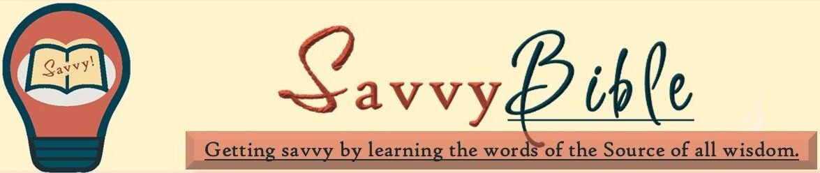                                                    Savvy Bible                             